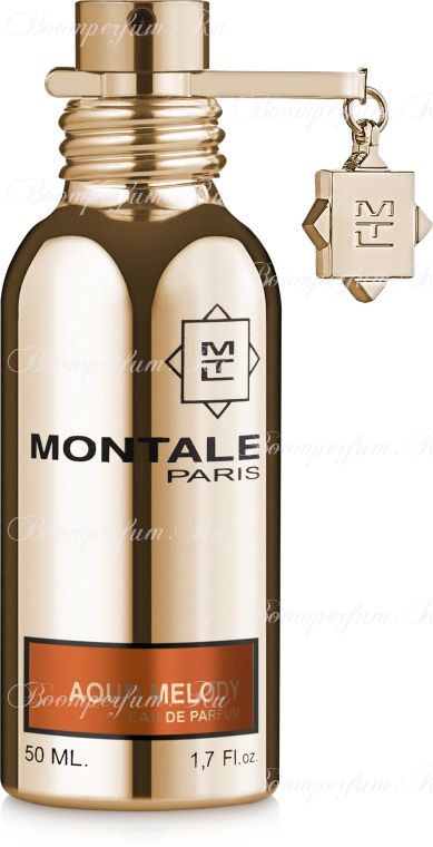 Montale Aoud Melody