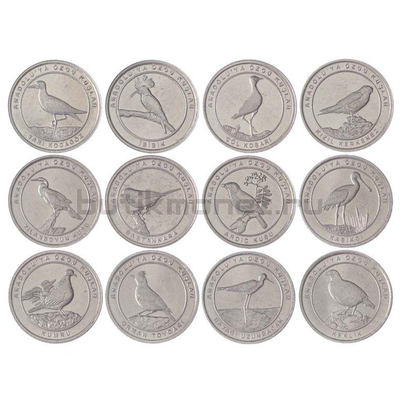 Набор монет 1 куруш 2020 Турция Птицы Анатолии (12 штук)