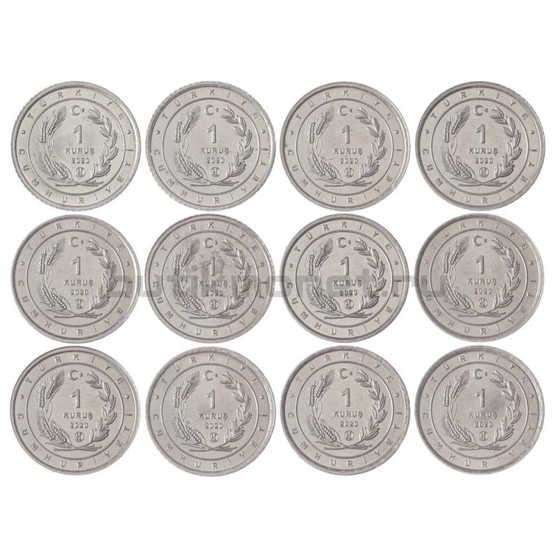 Набор монет 1 куруш 2020 Турция Птицы Анатолии (12 штук)