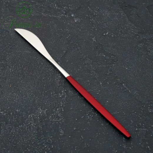 Нож столовый Magistro «Блинк», 22 см, цвет серебро, красная ручка, на подвесе
