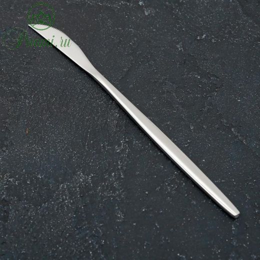 Нож столовый Magistro «Блинк», 22 см, цвет серебро, на подвесе
