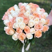 51 роза Эквадор 50 см бело-персиковый микс