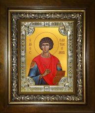 Икона Пантелеймон великомученик и целитель (18х24)