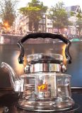 Стеклянный чайник 800 мл Teapot YF 6213