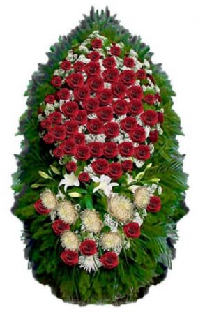Фото Ритуальный венок из живых цветов #2 красные розы и хвоя