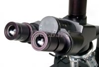 Levenhuk 670T Микроскоп тринокулярный фото