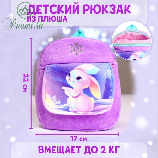 Рюкзак детский плюшевый «Зайка и снежинка» с карманом, 22?17 см