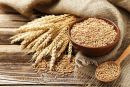 пшеница зерно купить в Спб