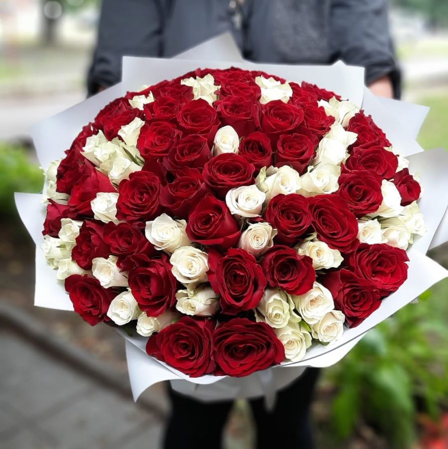 101 красно-белая роза длина 70 см