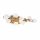 Настенный Светильник (Бра) Maytoni Modern Tessara MOD081WL-L13G3K Золотой, Металл