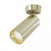 Потолочный светильник Maytoni Technical Focus C017CW-01G Золотой, Алюминий