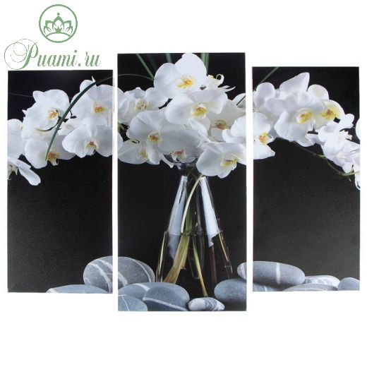 Модульная картина "Орхидеи в вазе"  (2-25х52; 1-30х60) 60х80 см