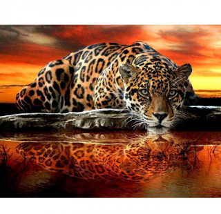 Величественный леопард