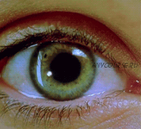 [Sigh Energy] Зеленые Глаза Мощный Плюс +11x (Очень сильный)