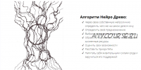 Нейро Древо - Кто Я. (Ольга Нуржанова)