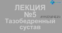 Цикл лекций по кинезиологии. Лекция 5. Тазобедренный сустав (Крутов Григорий)