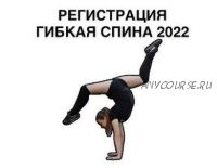 Гибкая спина 2022 (flextown.stretching)