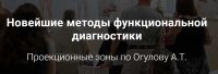 Новейшие методы функциональной диагностики. Проекционные зоны. 'Самостоятельный'(Александр Огулов)