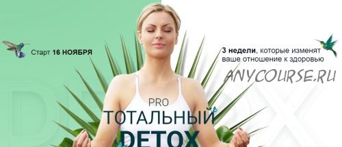 Pro тотальный detox. Ноябрь 2020 (Диляра Лебедева)