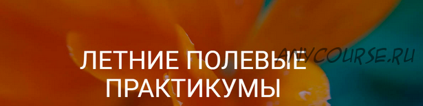 Рождение ароматерапевта или введение в Клиническую ароматерапию. 1 блок (Александра Кожевникова)