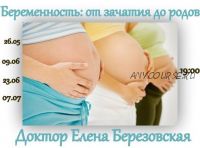 Запись цикла вебинаров «Беременность: от зачатия до родов» (Елена Березовская)