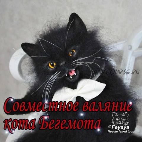 Совместное валяние кота Бегемота (Ольга feyaya) @feyaya1