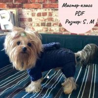 Мастер - класс по вязанию комбинезона Джинс для собаки (Моськин гардероб)