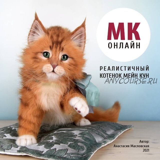 Реалистичный котенок Мейн кун (Анастасия Масловская)