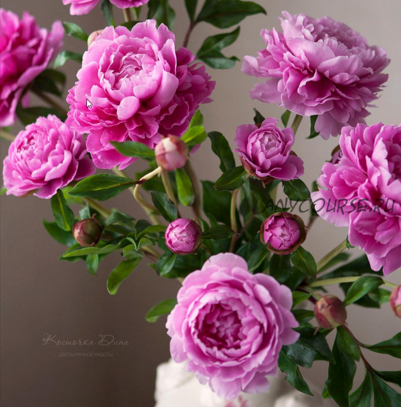 Розовые пионы (Дина Косточка)