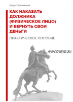 Как наказать должника (физическое лицо) и вернуть свои деньги. Практическое пособие. (Игорь Галичевский)