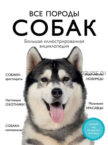 Все породы собак. Большая иллюстрированная энциклопедия (Галина Сула, Елена Китаева)