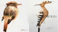 [Domestika] Акварельные птицы с яркой индивидуальностью (Leandro Nunes)