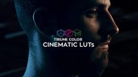 Triune Color: Cinematic LUTs