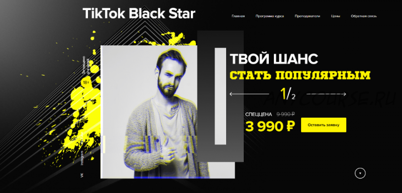 TikTok Black Star. Твой шанс стать Популярным (Диана Салей, Александр Соколовский)