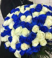 101 бело-синяя роза 70 см