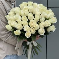 51 белая роза Эквадор 50см