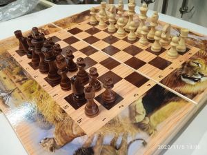 Шахматы нарды шашки 3 в 1 Сафари.