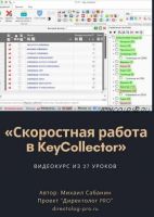Скоростная работа в KeyCollector (Михаил Сабянин)