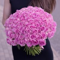 101 розовая розам (Эквадор 70см)