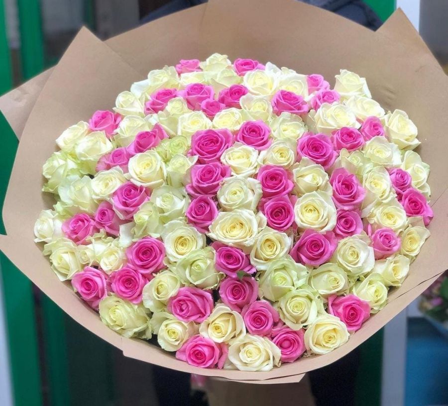 101 белая и розовая роза (Эквадор 70см)