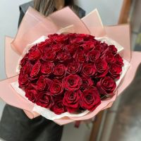 Красные розы Эквадорские (60см)