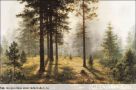 Набор для вышивания "1572 Fog in the Woods (small)"