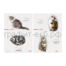 Альбом А4 24л.BG Акварельные котики АР4ск24 10913
