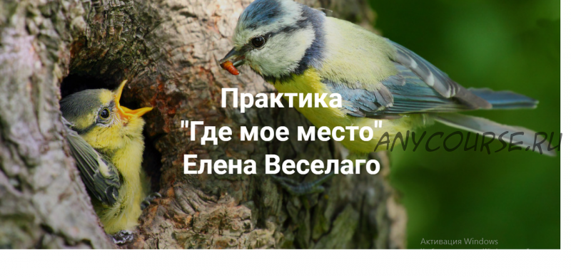 Где мое место (Елена Веселаго)