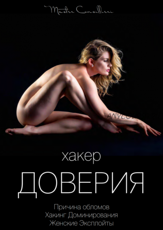 Хакер доверия 1 (Вик Орлов)