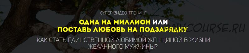 Одна на миллион или Поставь любовь на подзарядку (Татьяна Шишкина)