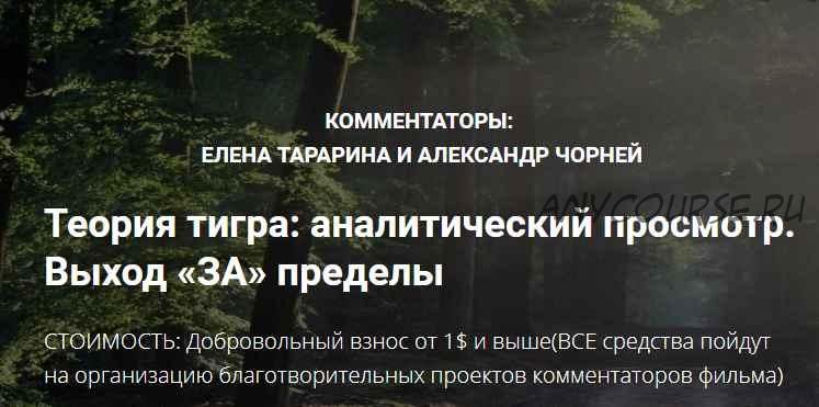 Теория тигра: аналитический просмотр. Выход «за» пределы (Елена Тарарина, Александр Чорней)