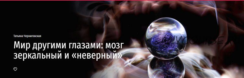 [Прямая речь] Мир другими глазами: мозг зеркальный и «неверный» (Татьяна Черниговская)