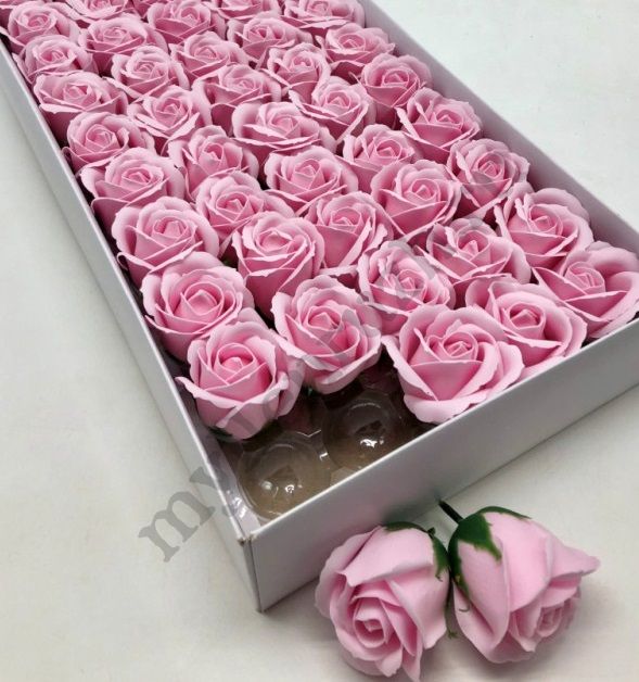 Розы пенные, Светло-розовый