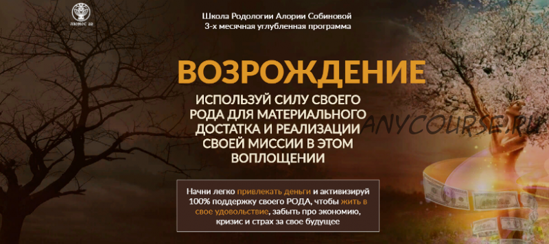 [Люмос 22] Возрождение, уровень 1. Стабильность (Алория Собинова)